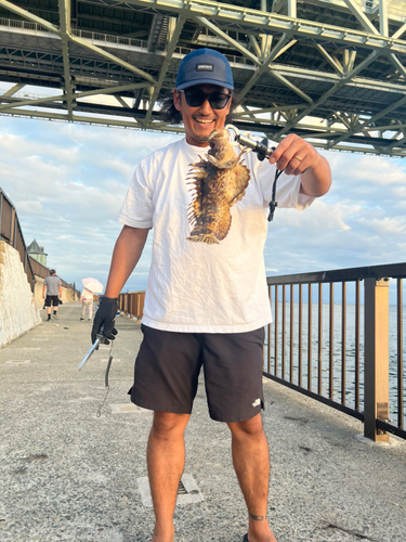 オニオコゼの釣果