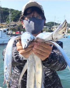 タチウオの釣果