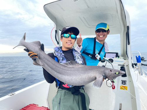 モミジザメの釣果