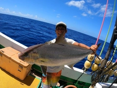 ヒレナガカンパチの釣果