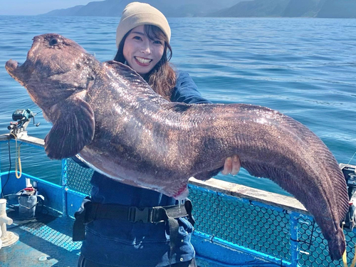 オオカミウオの釣果