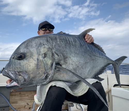 ロウニンアジの釣果