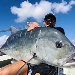 ロウニンアジの釣果