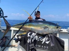 キハダマグロの釣果