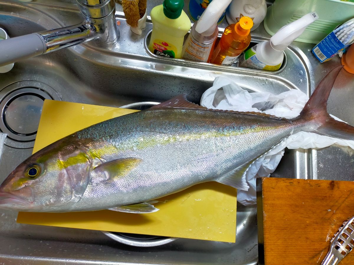 釣りのなにがしさんの釣果 3枚目の画像