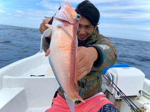 アマダイの釣果