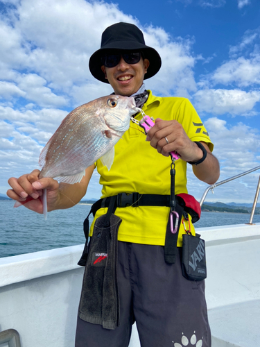 マダイの釣果