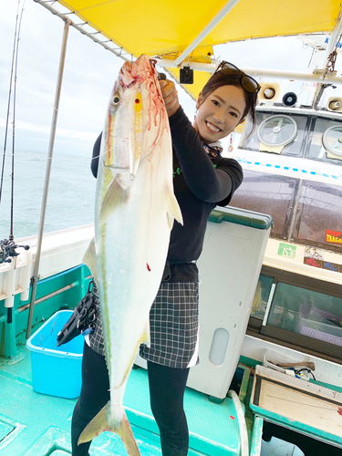 ブリの釣果