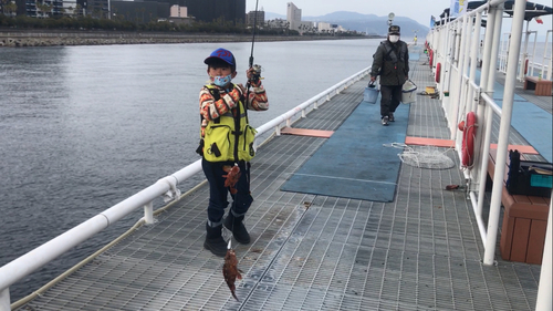 アラカブの釣果