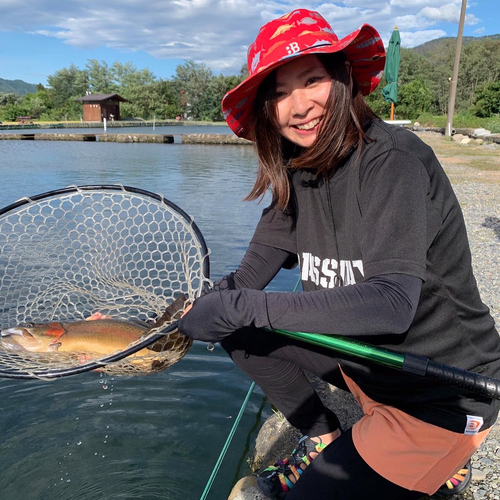 ニジマスの釣果