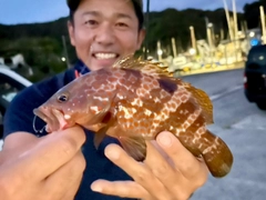 アコウの釣果