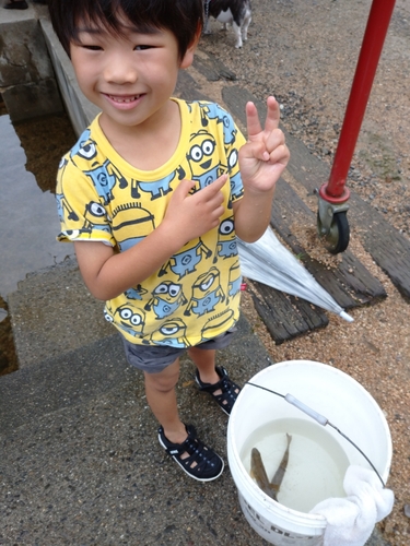 ニジマスの釣果