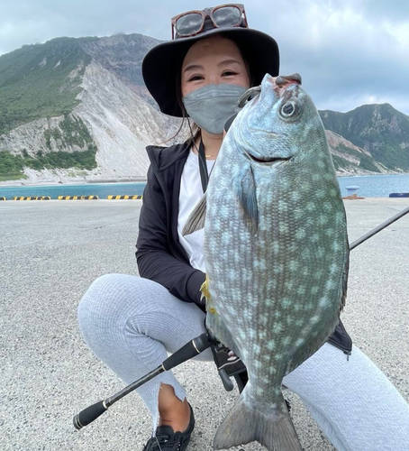 イスズミの釣果