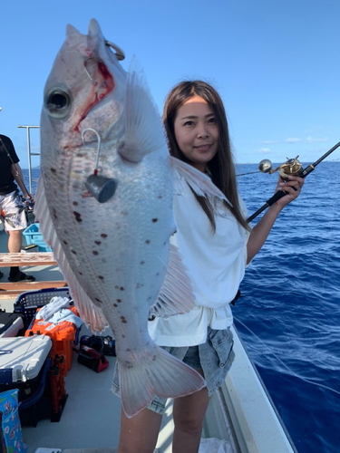 シロダイの釣果