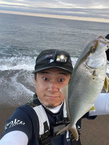 ショゴの釣果