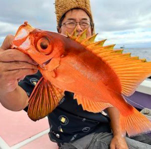 キントキダイの釣果