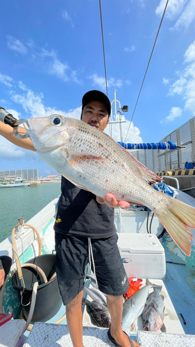 アカハタの釣果