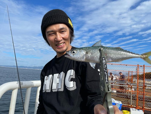 サバの釣果