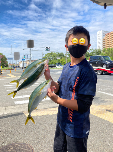 ツバスの釣果