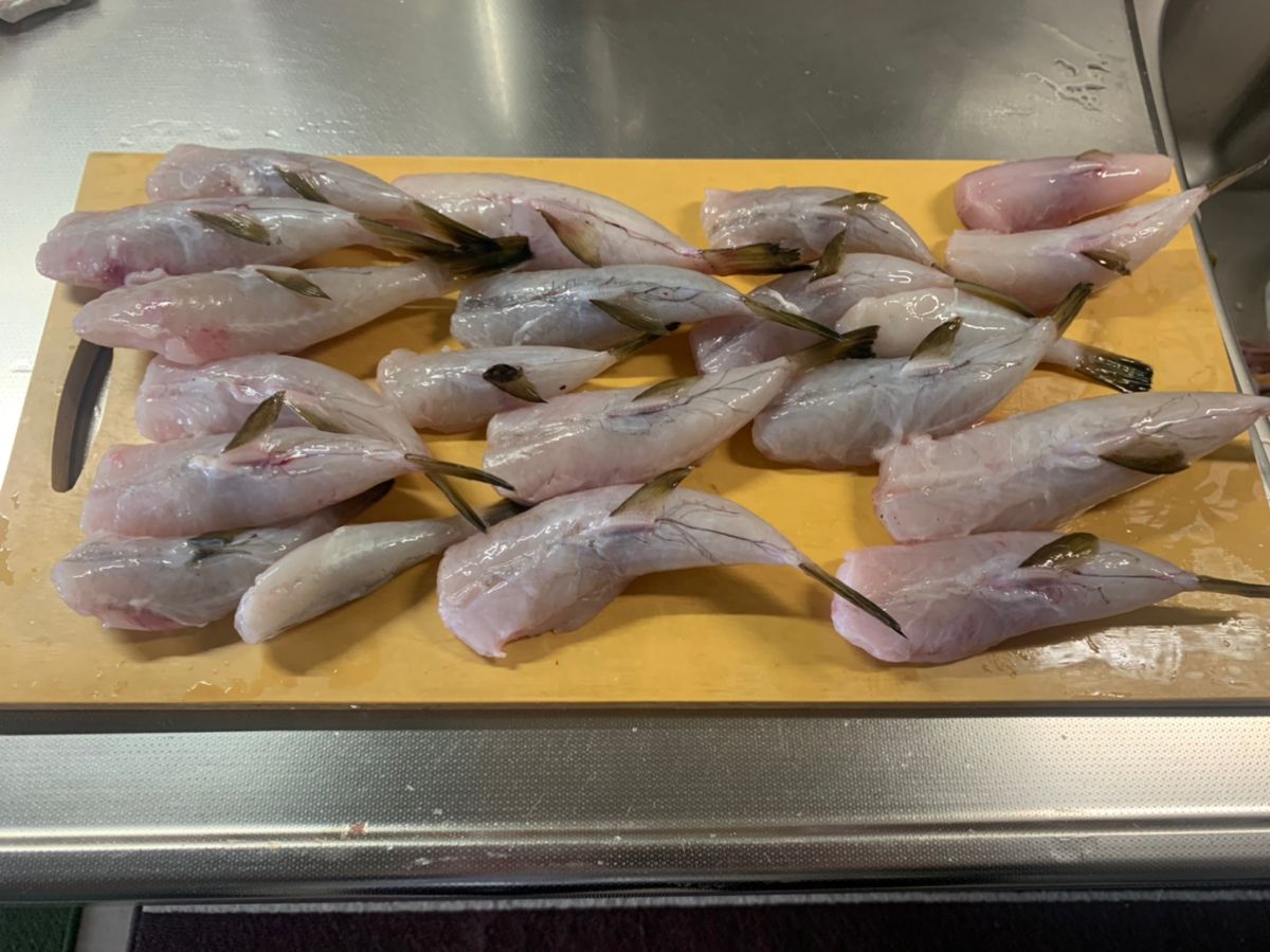 釣人竿太郎さんの釣果 2枚目の画像