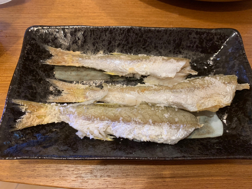 カマスの釣果