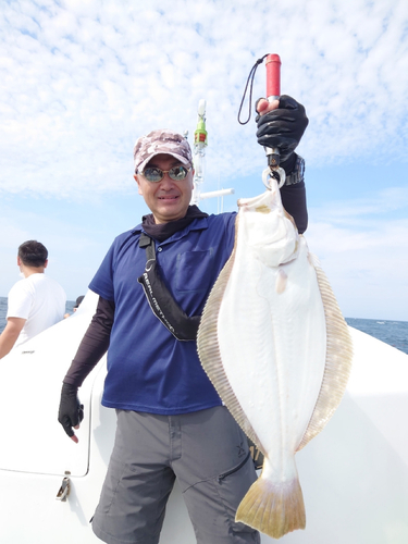 ヒラメの釣果