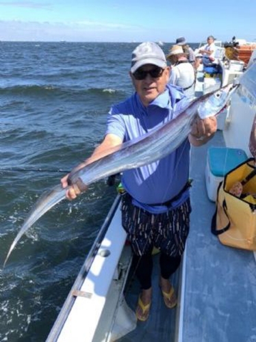 タチウオの釣果