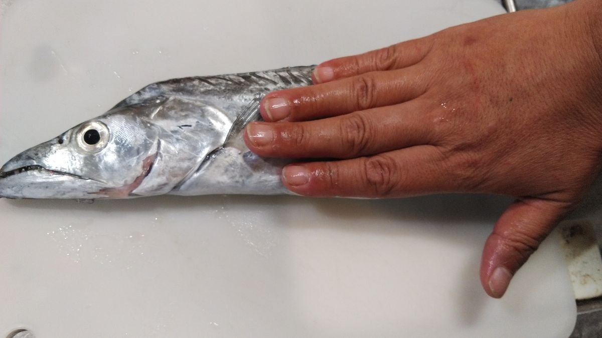 HOIHOI5963さんの釣果 2枚目の画像