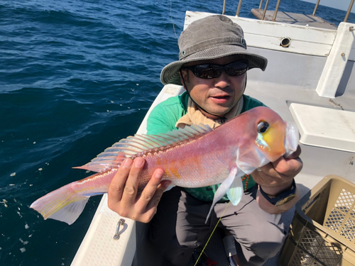 アマダイの釣果