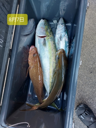 釣果