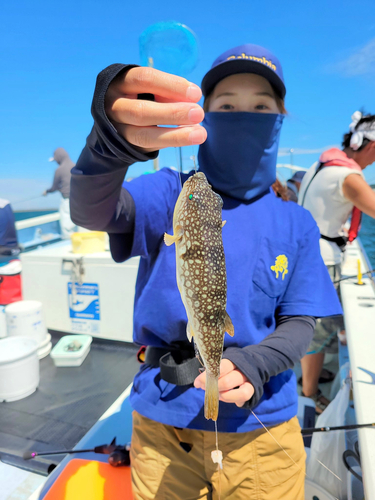 ショウサイフグの釣果