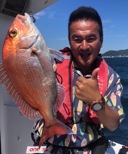 マダイの釣果