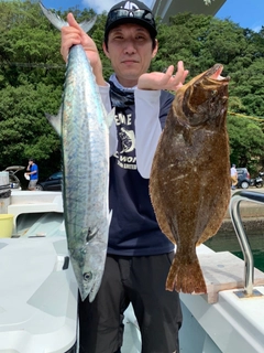 サワラの釣果