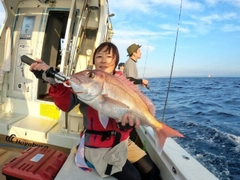 マダイの釣果