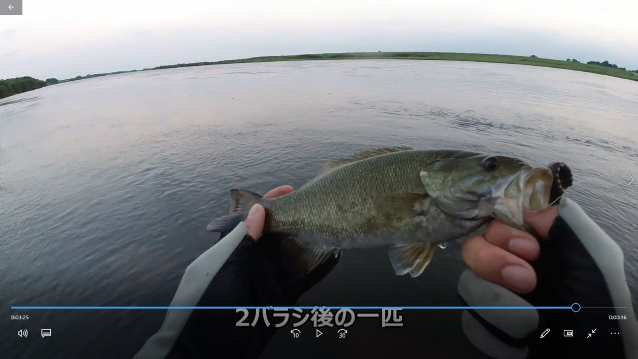 スモールマウスバス