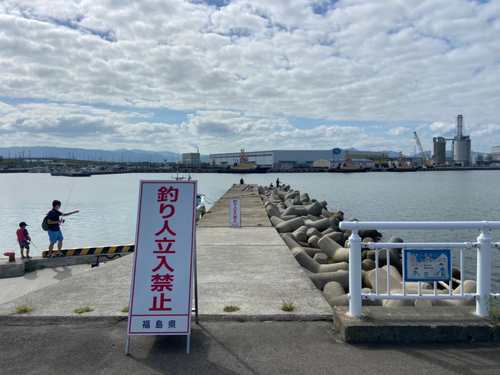 コモンフグの釣果