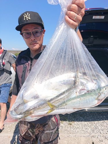 タチウオの釣果