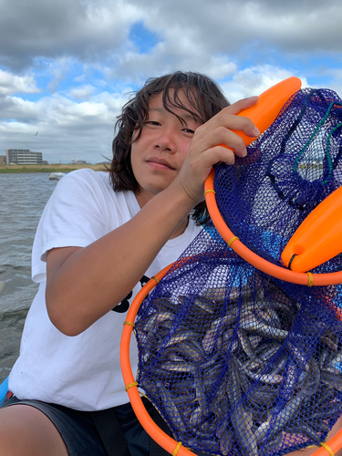 マハゼの釣果