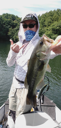 ブラックバスの釣果