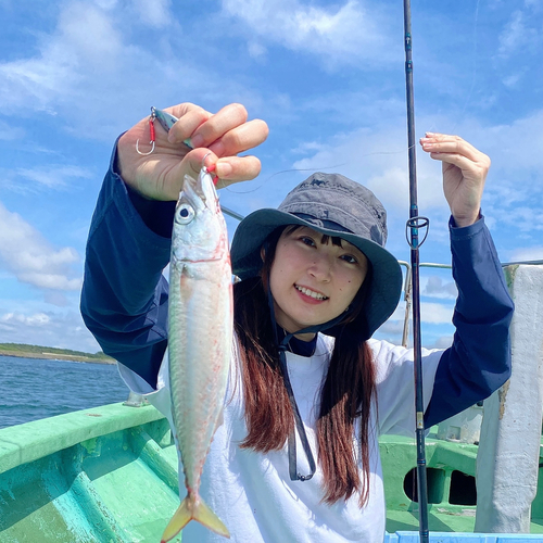 ショゴの釣果