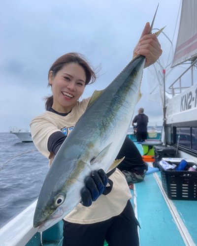 ワラサの釣果