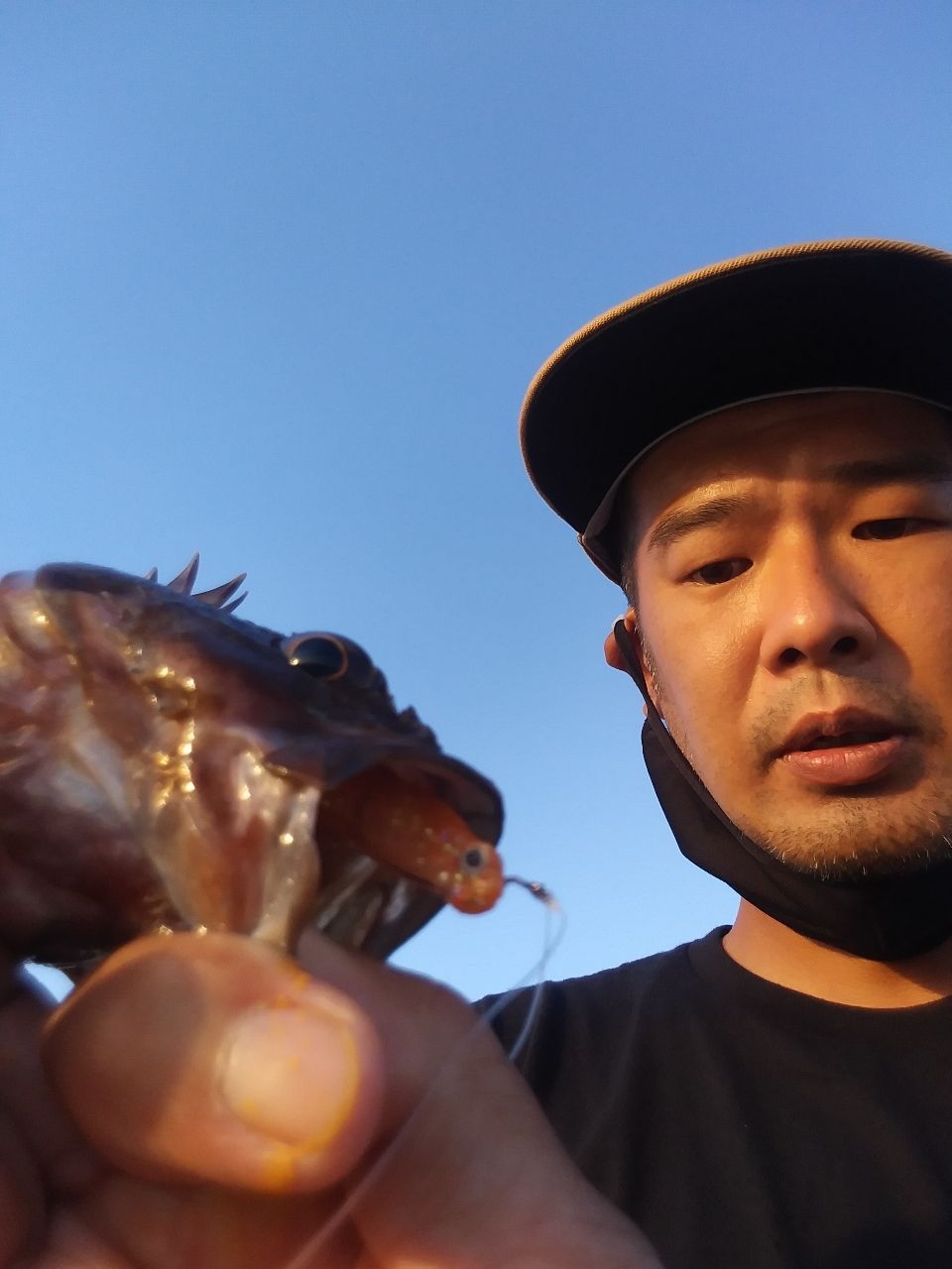 ガシラ