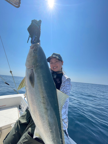 ハマチの釣果