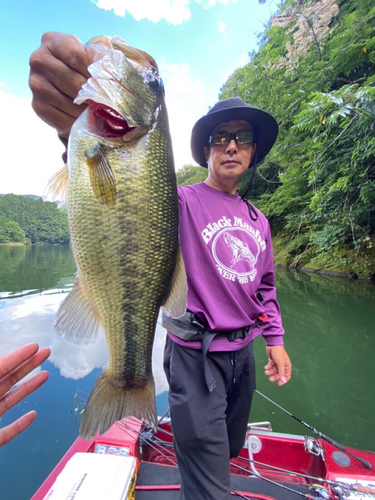 ブラックバスの釣果