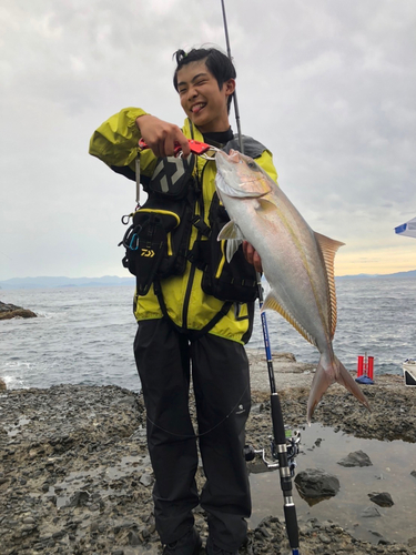 カンパチの釣果