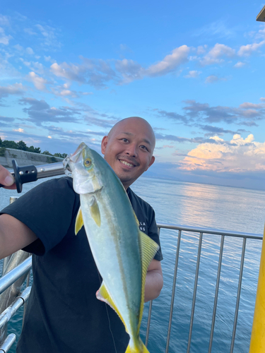 ツバスの釣果