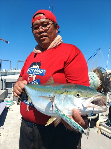 イカの釣果