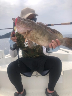 オオモンハタの釣果