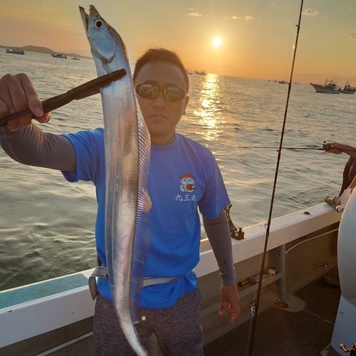 タチウオの釣果