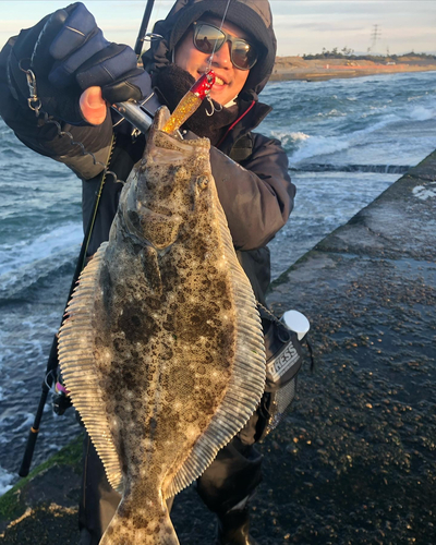 ヒラメの釣果